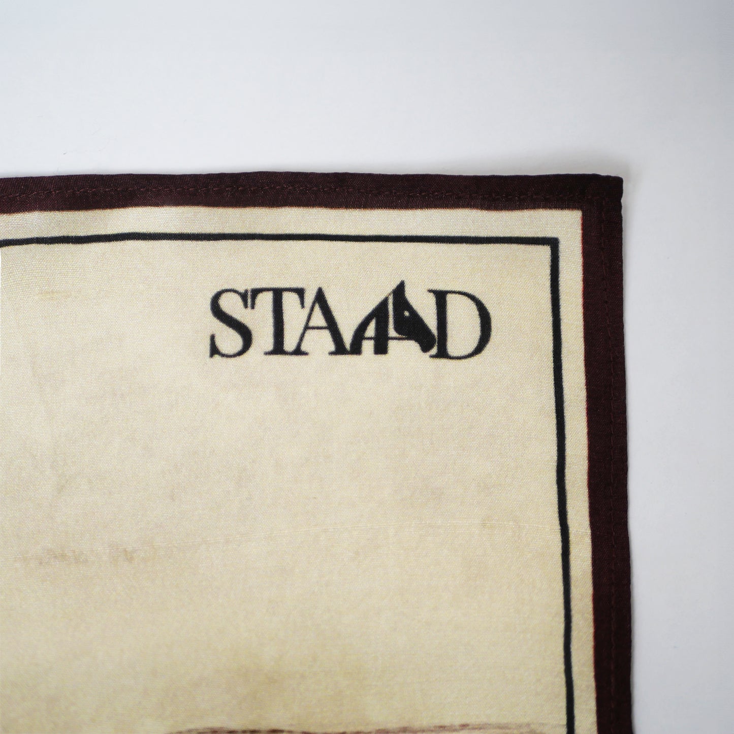 STRIDE Pocket Square