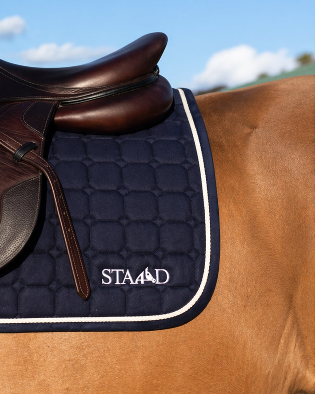 All-Purpose Saddle Pad (Navy)