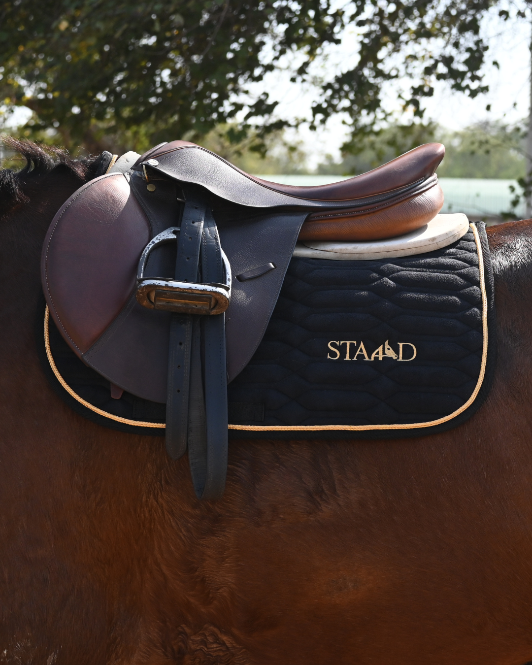 All-Purpose Saddle Pad (Black Suede)