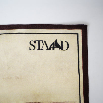 STRIDE Pocket Square